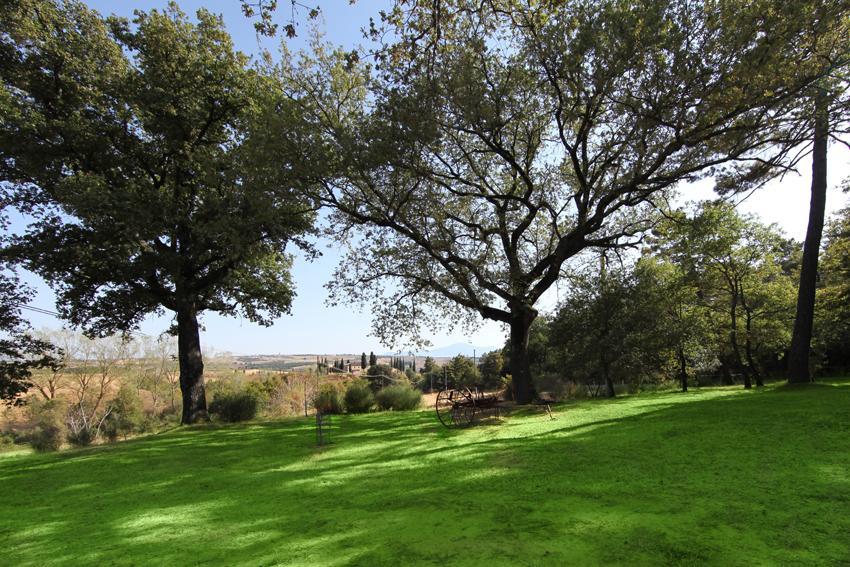 Agriturismo Torrenieri Da Alessandro ピエンツァ エクステリア 写真