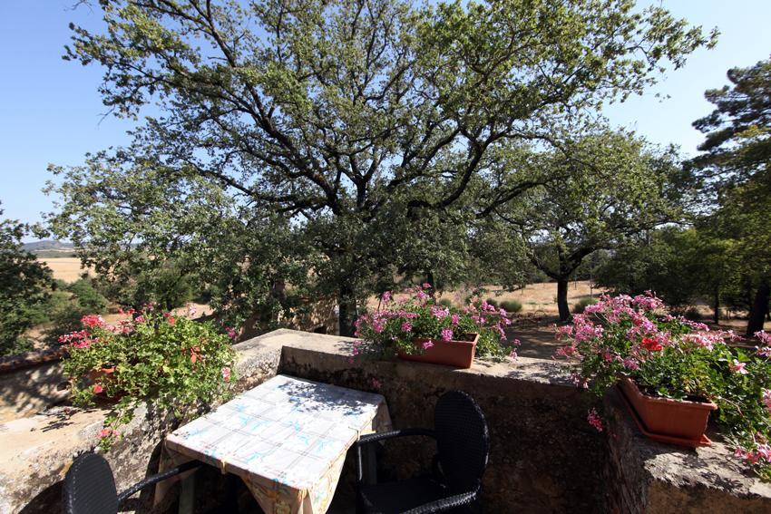 Agriturismo Torrenieri Da Alessandro ピエンツァ エクステリア 写真