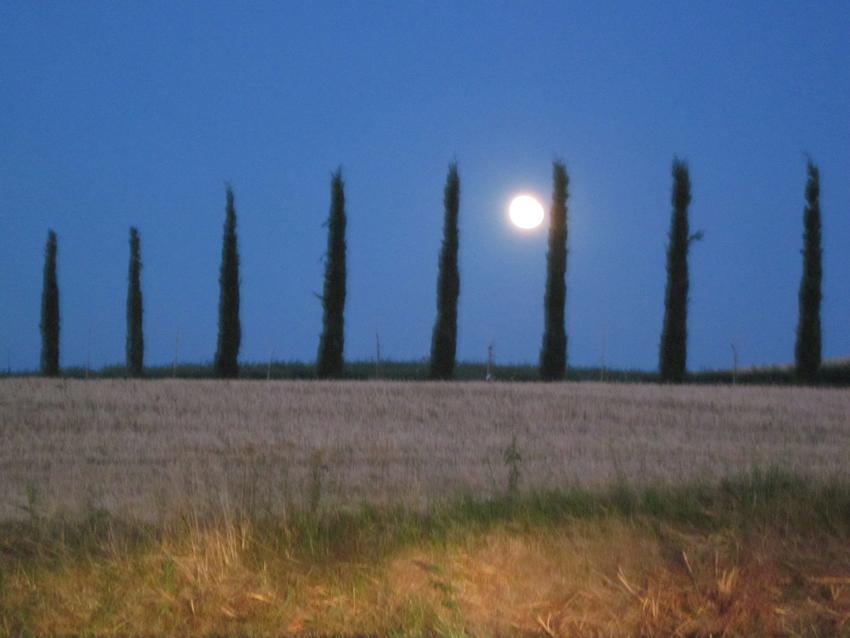 Agriturismo Torrenieri Da Alessandro ピエンツァ エクステリア 写真