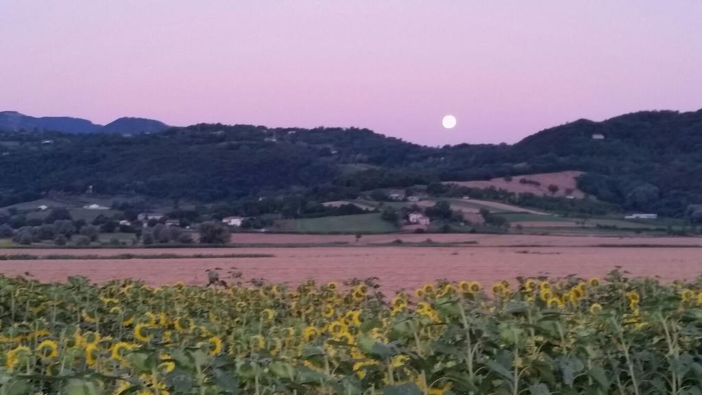 Agriturismo Torrenieri Da Alessandro ピエンツァ エクステリア 写真